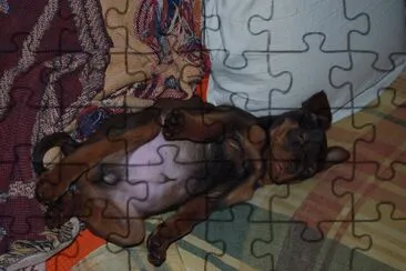 bombom jigsaw puzzle