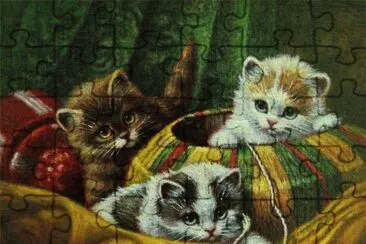 gatinhos