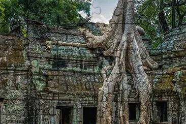 Ta Prohm, Camboya jigsaw puzzle