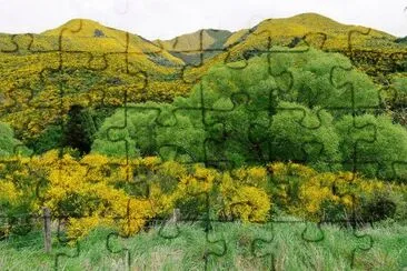 imagens jigsaw puzzle