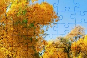 imagens jigsaw puzzle