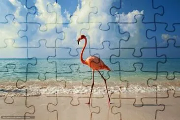 animais jigsaw puzzle