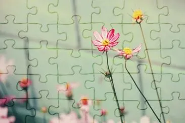 natureza jigsaw puzzle