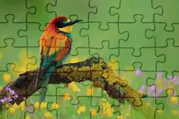 natureza jigsaw puzzle