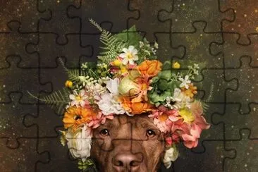 pitbull with flowers