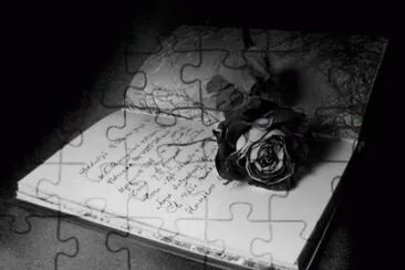 LIBRO jigsaw puzzle