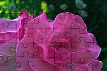 imagens jigsaw puzzle