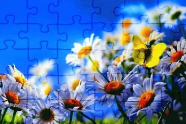 imagens jigsaw puzzle