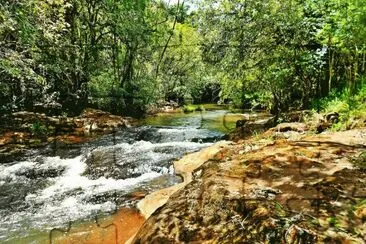 Arroyo CoatÃ­. Misiones. Argentina