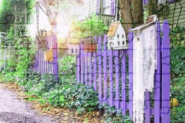 Vintage Purple Fence