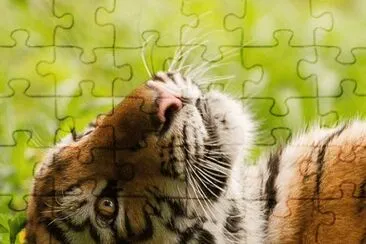 Pensando jigsaw puzzle