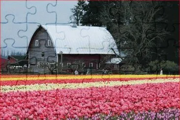 GRANJA DE FLORES