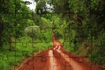 En la Provincia de Misiones. Argentina jigsaw puzzle