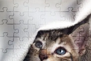 â™¥ jigsaw puzzle