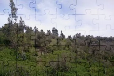 Paisaje jigsaw puzzle