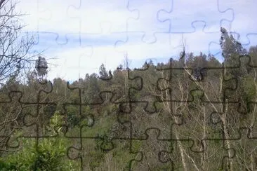 Paisaje jigsaw puzzle