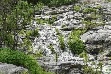 פאזל של Barranco de Los CernÃ­calos. Gran Canaria