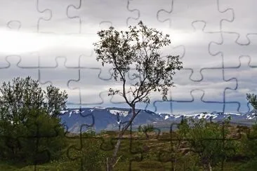 island jigsaw puzzle