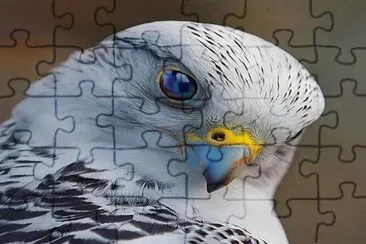 :) jigsaw puzzle