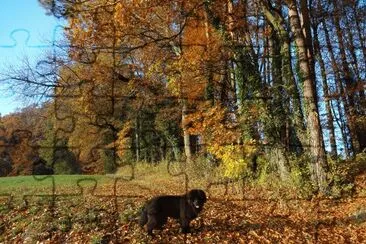 Herbstspaziergang