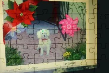 MI NENA jigsaw puzzle