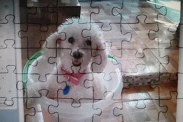 BLANQUITA jigsaw puzzle