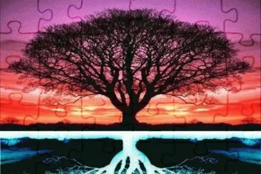 Tree of life