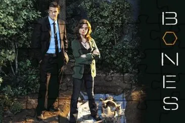 Serie BONES jigsaw puzzle