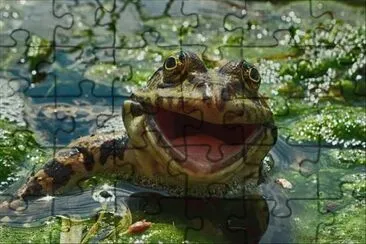 Premios de La Mejor Fotografia De La Vida Salvaje