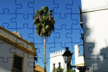 Barrio de Santa Cruz. Sevilla jigsaw puzzle