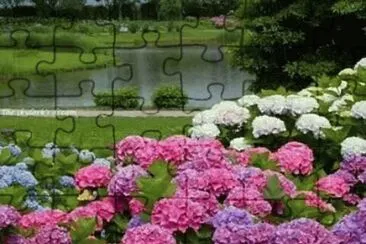 flores jigsaw puzzle