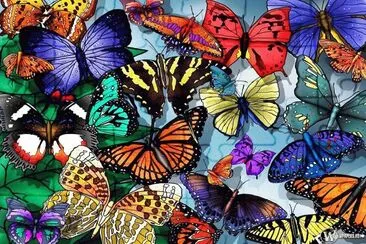 mariposas jigsaw puzzle