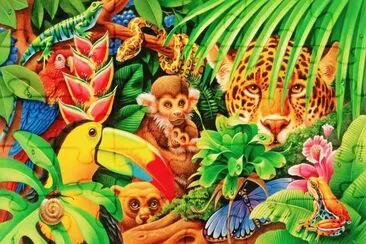 dibujos selva jigsaw puzzle