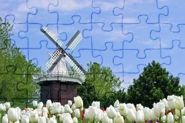 Molinos jigsaw puzzle