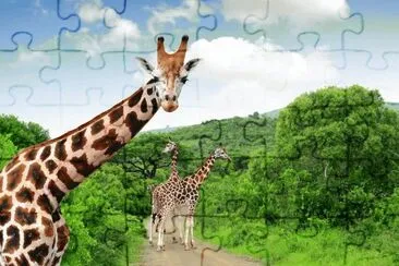 פאזל של Girafas