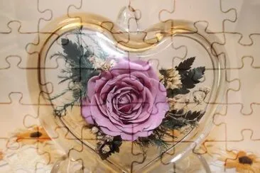 Freeze Dried Rose in Glass Heart