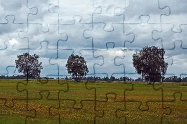 Baltikum / Lettland jigsaw puzzle