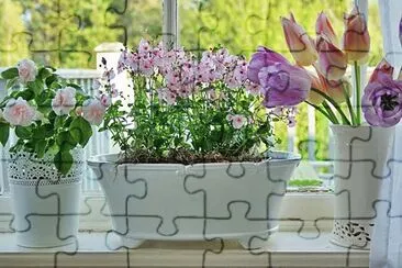 Flores en la ventana jigsaw puzzle