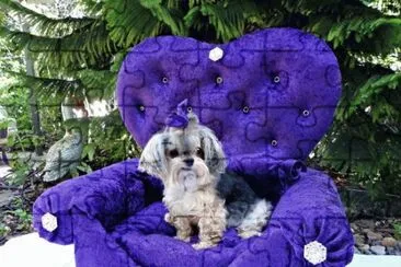 Purple Princess Dog Bed