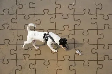 Paquito 01.10 jigsaw puzzle