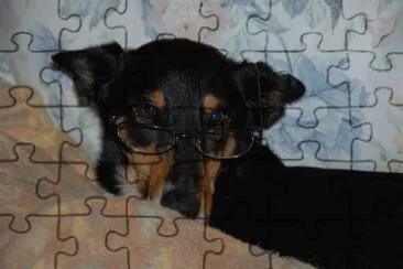 Tina. jigsaw puzzle