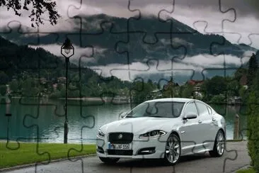 XF jigsaw puzzle