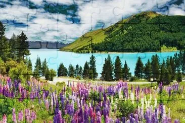 Lago jigsaw puzzle