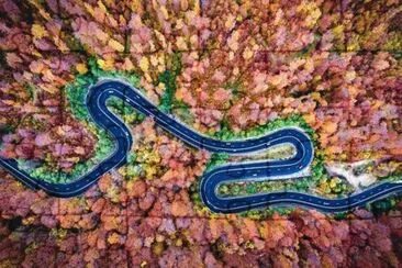 Bosque Bogata, Rumania, por Calin Stan jigsaw puzzle