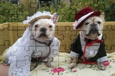 פאזל של Cute Bride and Groom Dogs