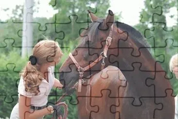 This boy is 25 yr old Fandango with InÃ©s SchÃ¶ppe jigsaw puzzle