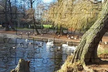 The Lake at Wollaton