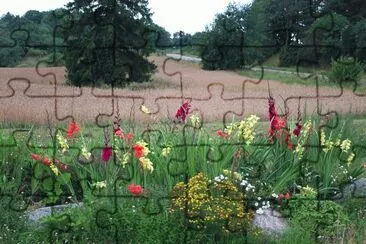 Irises and field jigsaw puzzle