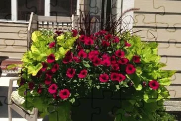 Beautiful Petunias with Sweet Potato Vines jigsaw puzzle