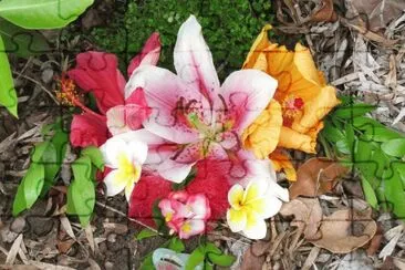 Flowers for the fairies, Australia jigsaw puzzle